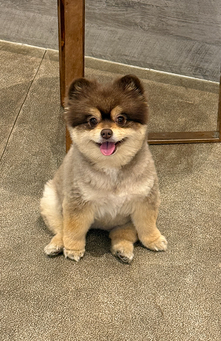 사진
